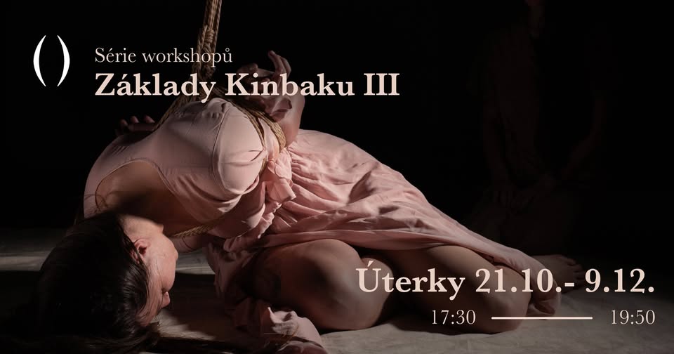 Série workshopů Základy kinbaku III