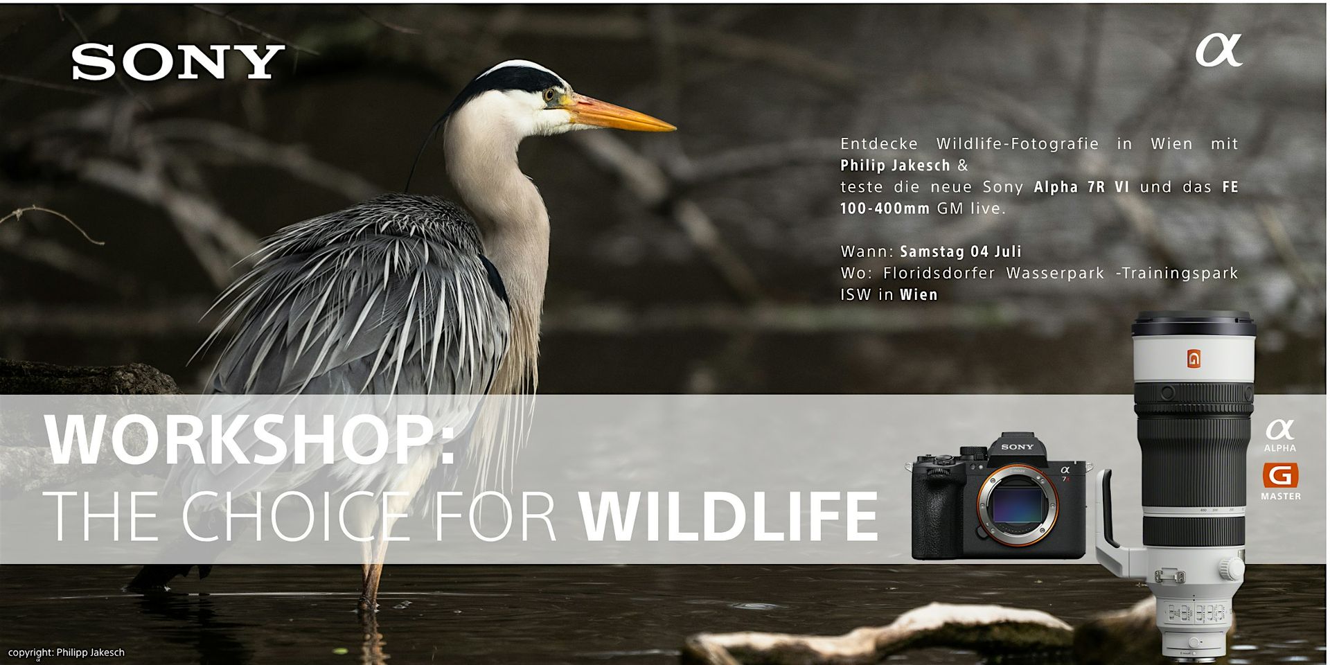 Wildlife Photography Workshop – Tiere in der Stadt mit Philip Jakesch