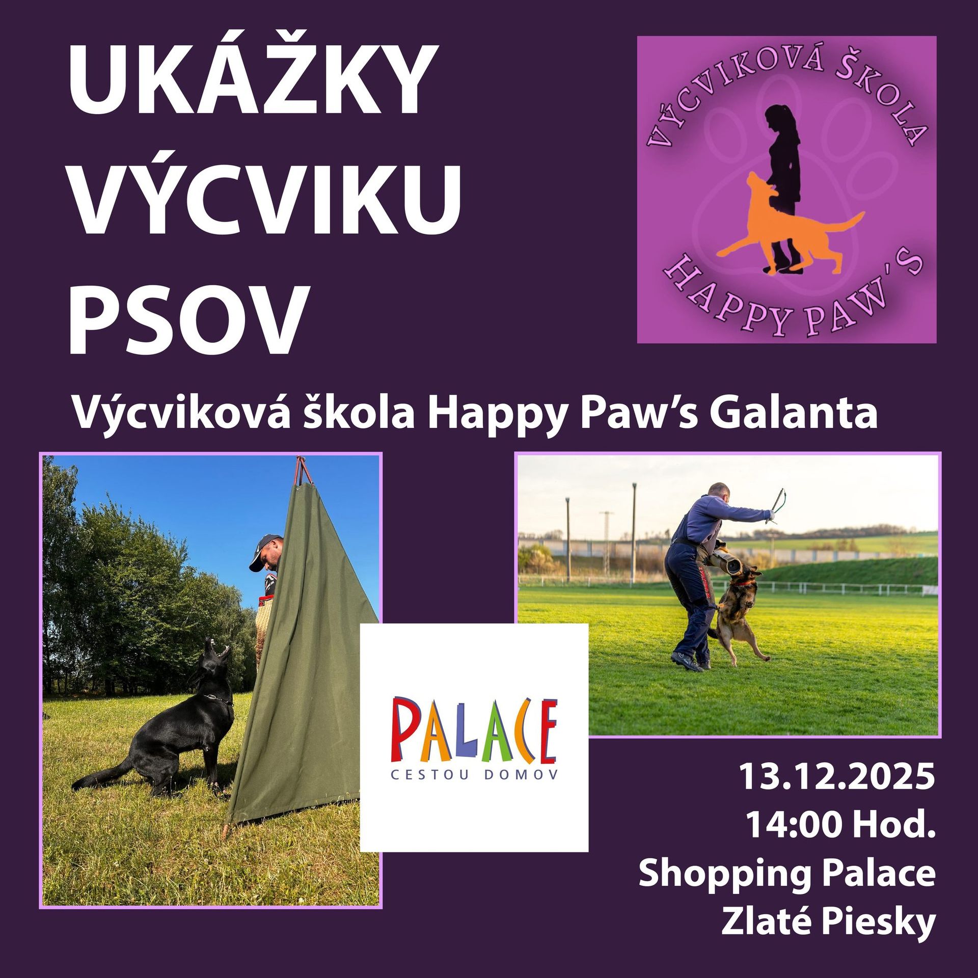 UKÁŽKY VÝCVIKU PSOV