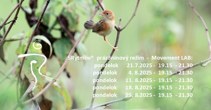 Miša Trizuljaková - 5Rytmov® - prázdninový režim