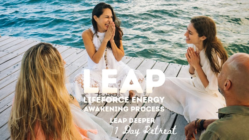 Quantum LEAP - ONE DAY IMMERSION - in Amsterdam