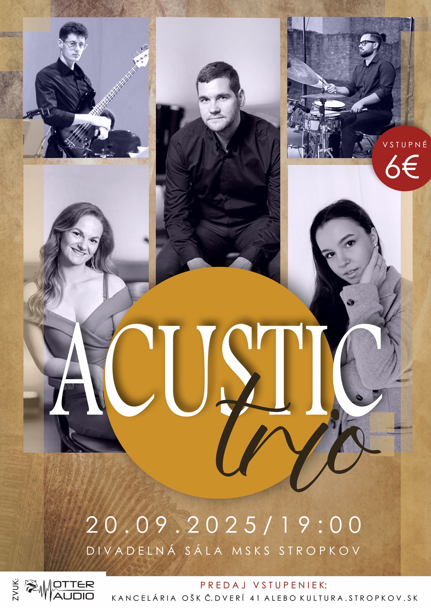 ACUSTIC TRIO