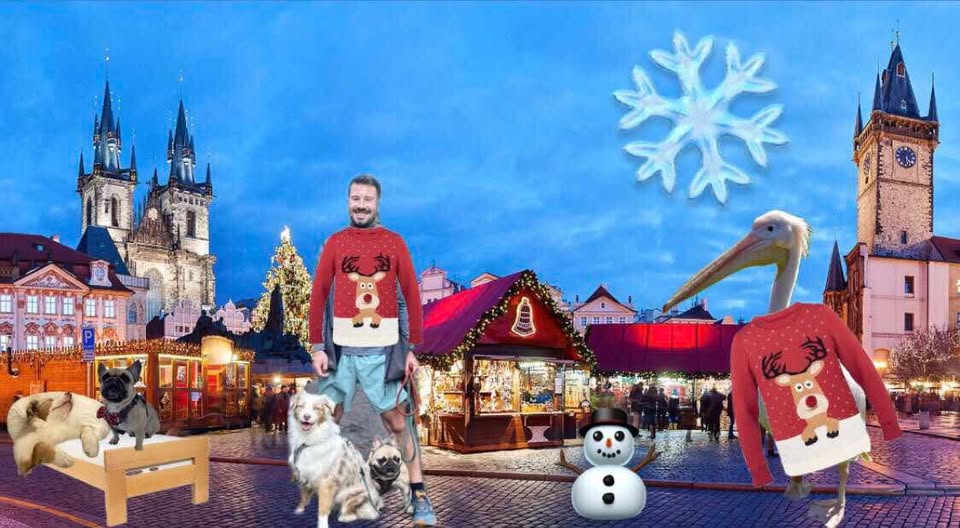 Vánoční výběh s Pelikány