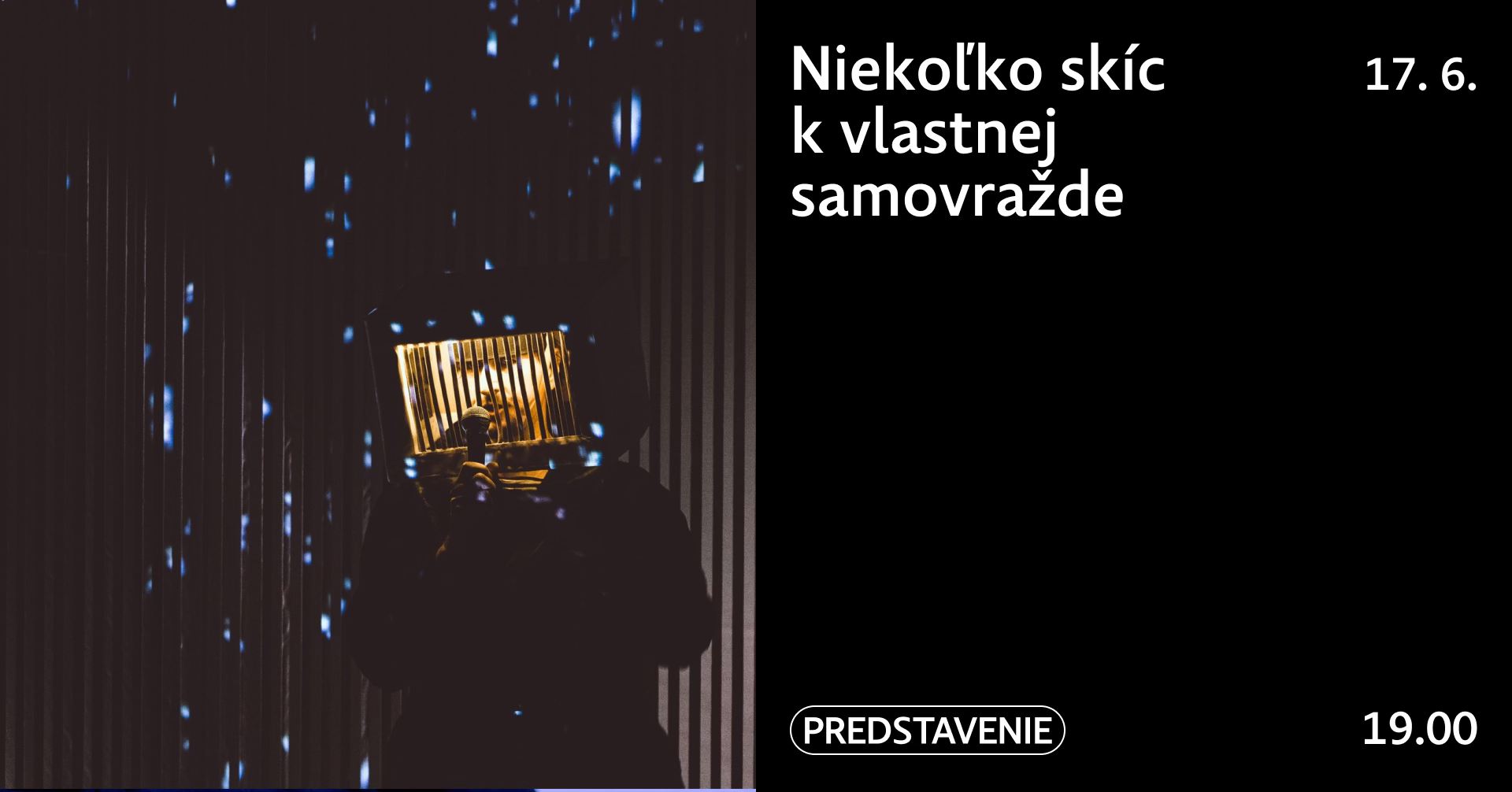 Niekoľko skíc k vlastnej samovražde