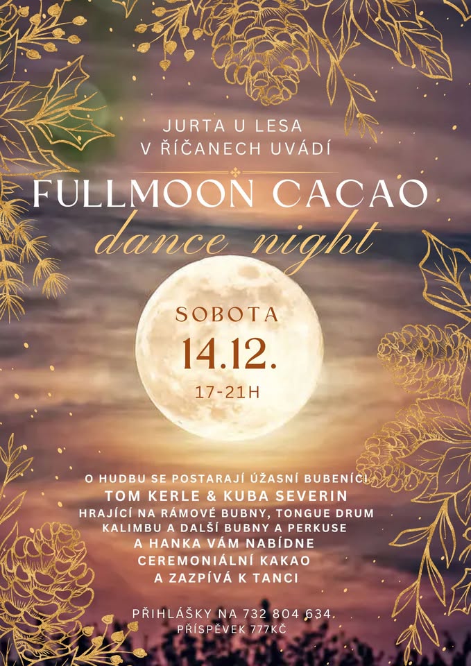 Fullmoon Cacao Dance Night
