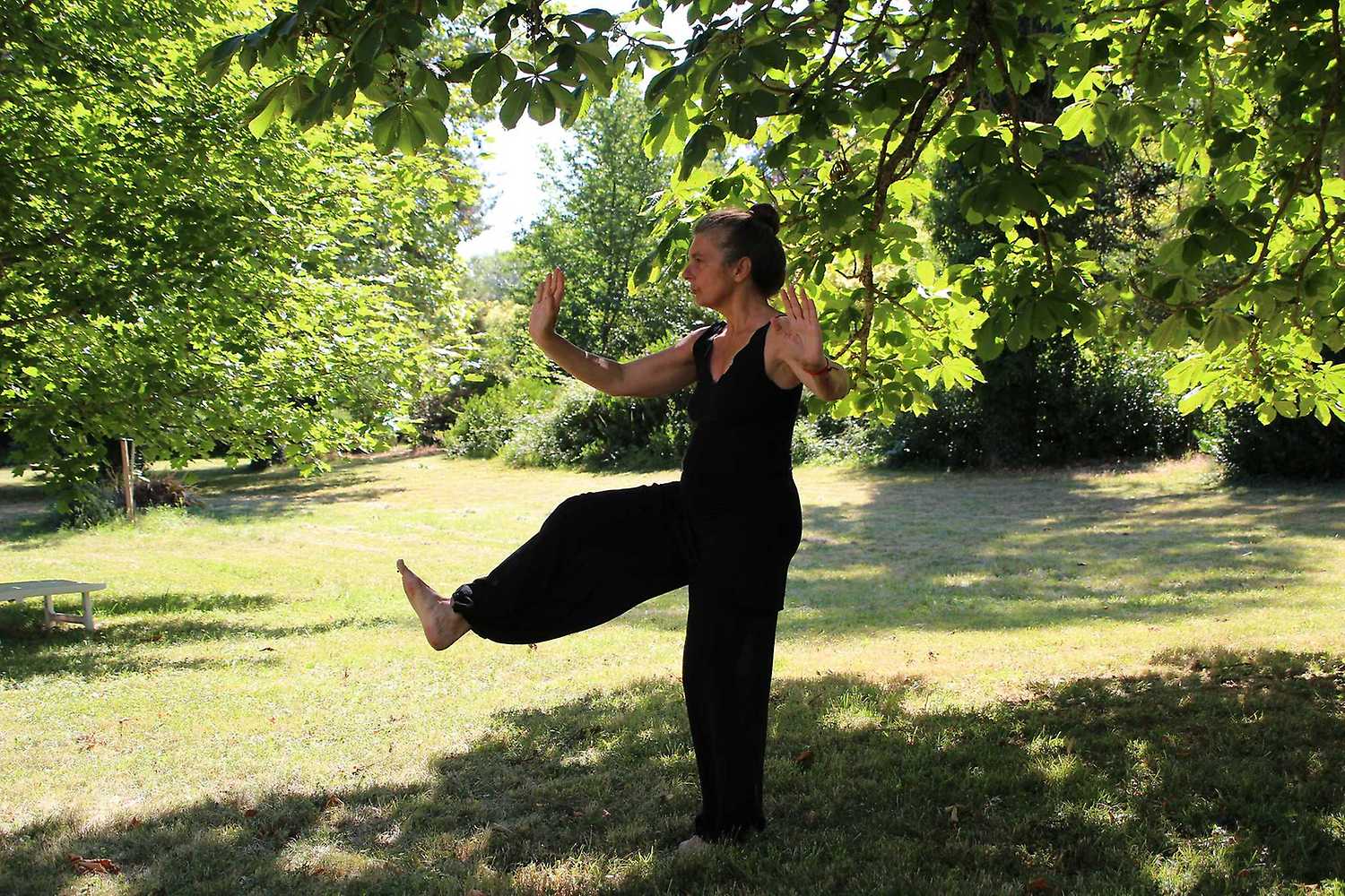 Tai-chi chuan