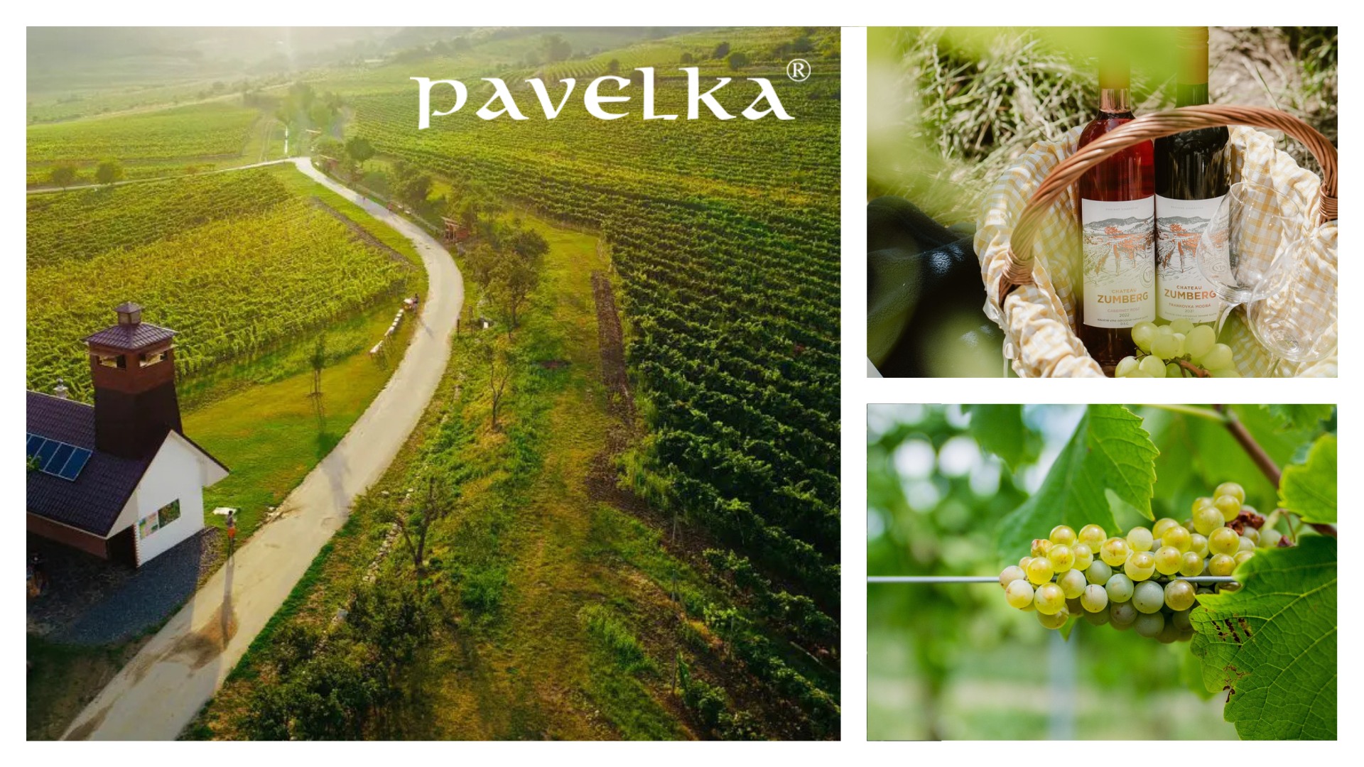 DEGUSTÁCIA: Pavelka