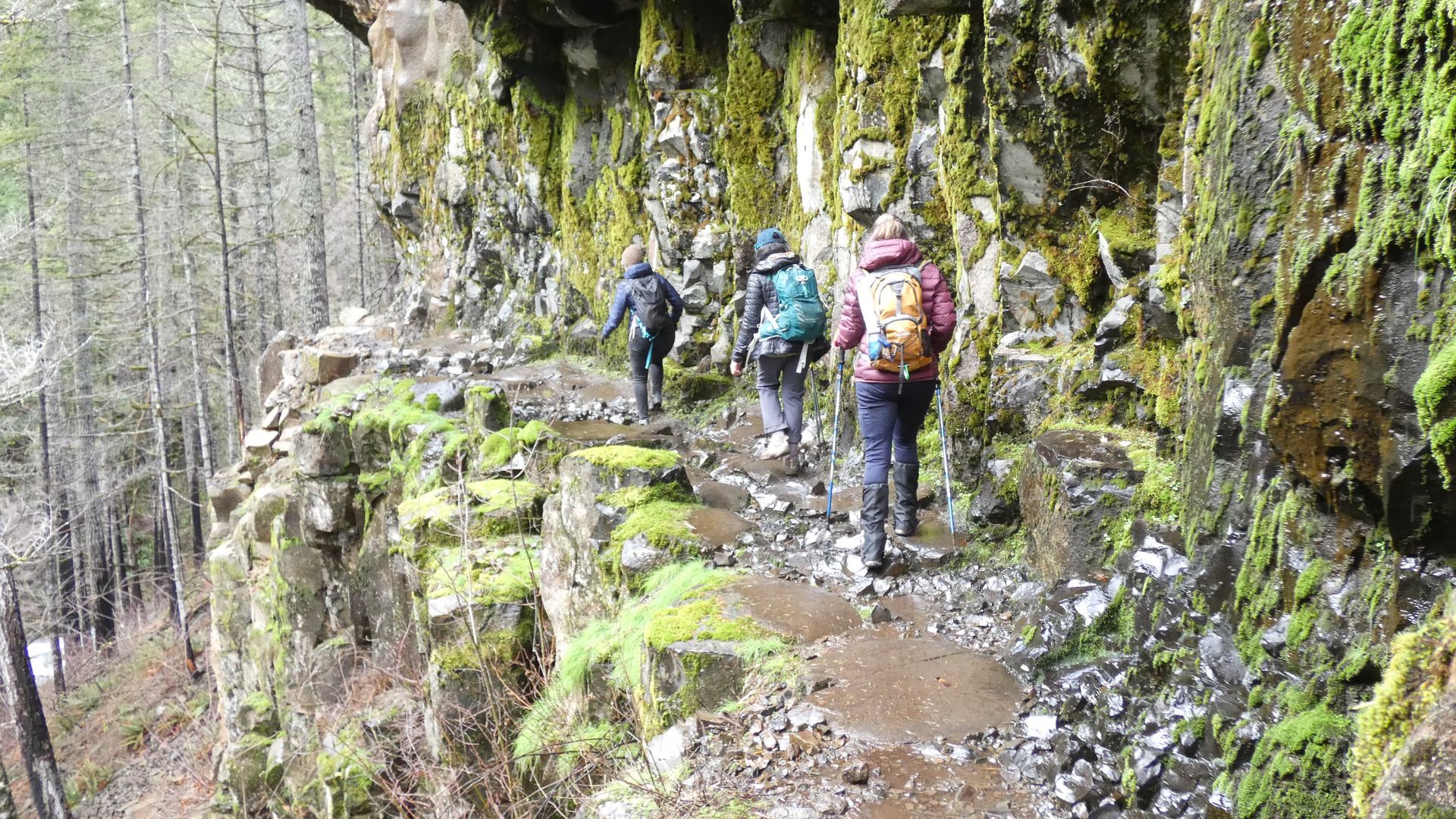 Eagle Creek Hike