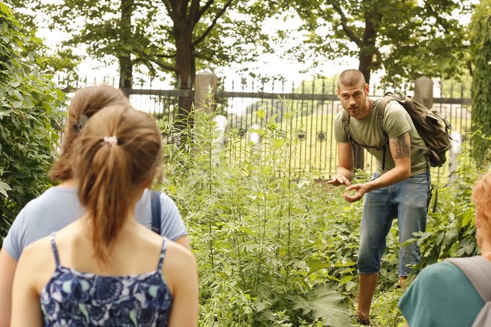 Kräuterwanderung Berlin