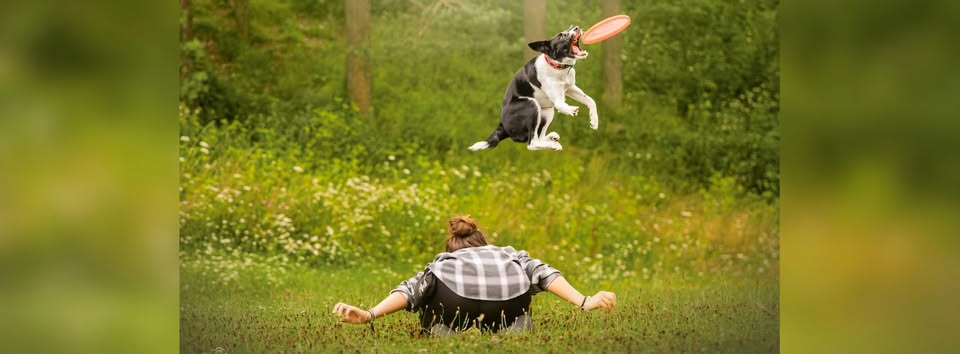 Dogfrisbee seminár BRNO