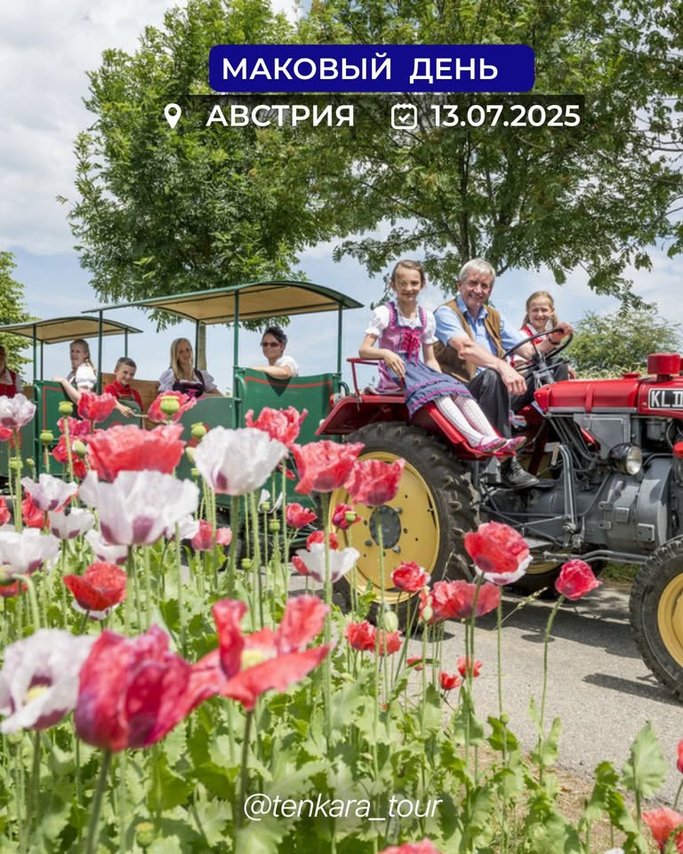 МАКОВЫЙ ДЕНЬ. АВСТРИЯ