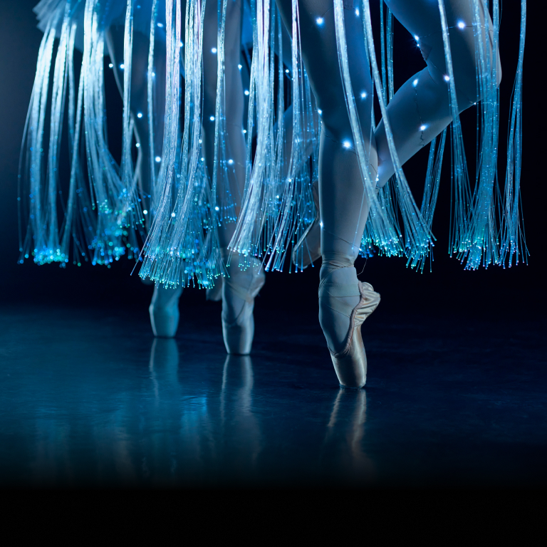 Ballet of Lights: Sleeping Beauty in a Sparkling Show | Central Coast