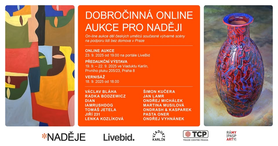 Dobročinná aukce pro NADĚJI
