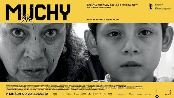 Filmový klub v KC Cooltajner: Muchy