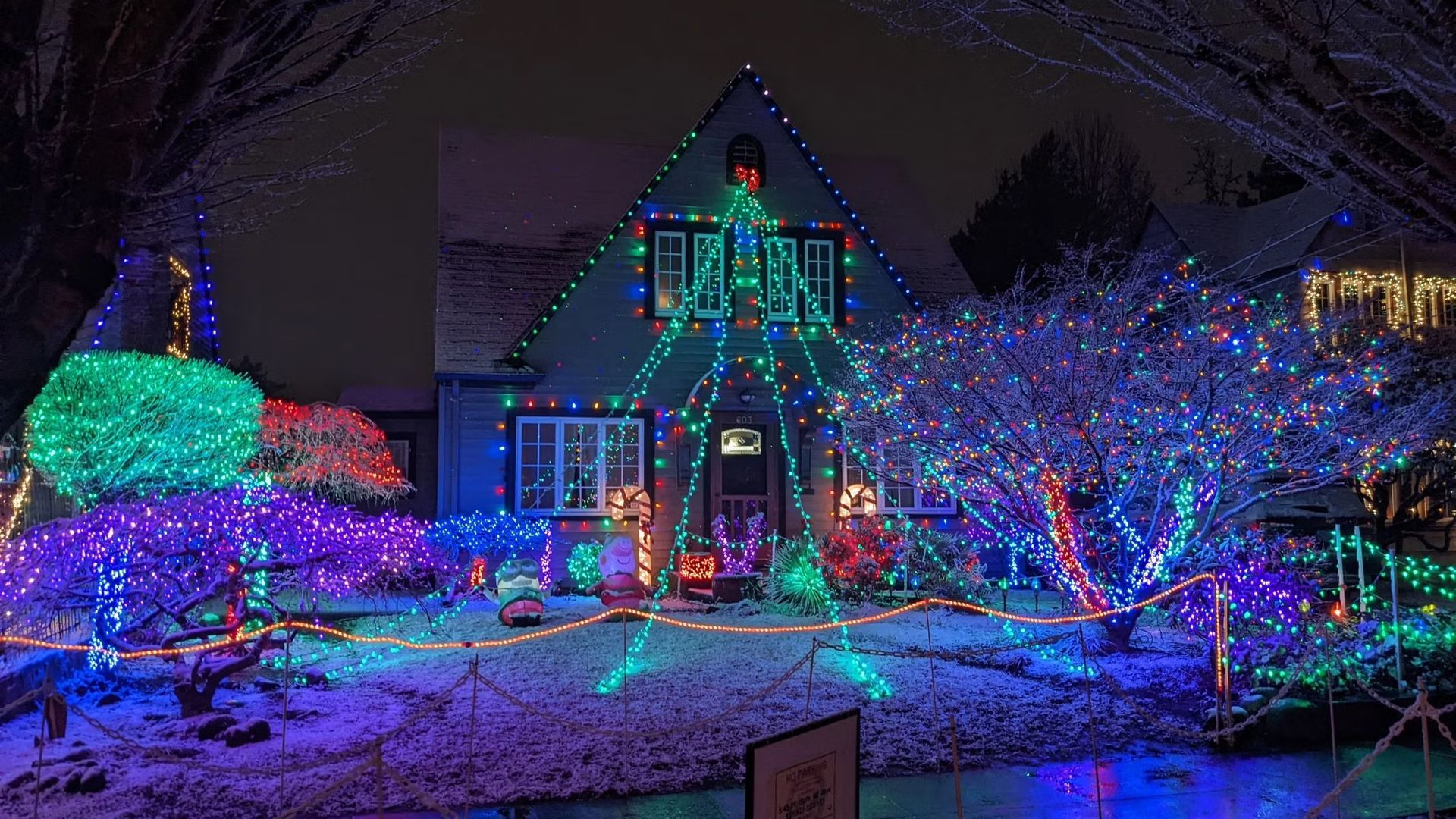 Light Up (the Tree): Walk🎄& Dinner