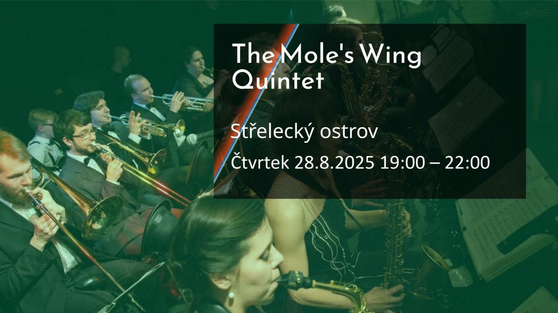 🎶 The Mole's Wing Quintet • swing at Střelecký ostrov • 💃 dance and 🍻 beer