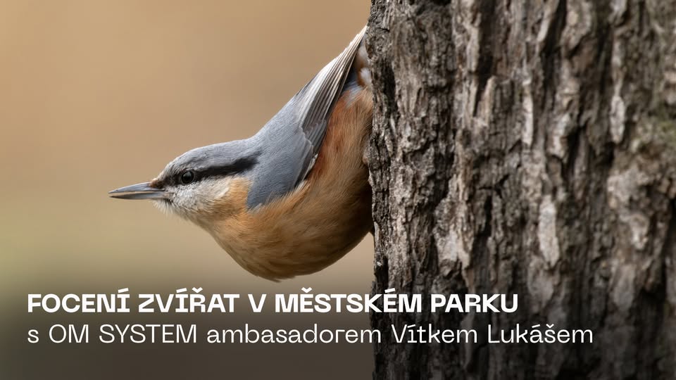 FOTO WORKSHOP | Focení zvířat v městském parku s Vítkem Lukášem