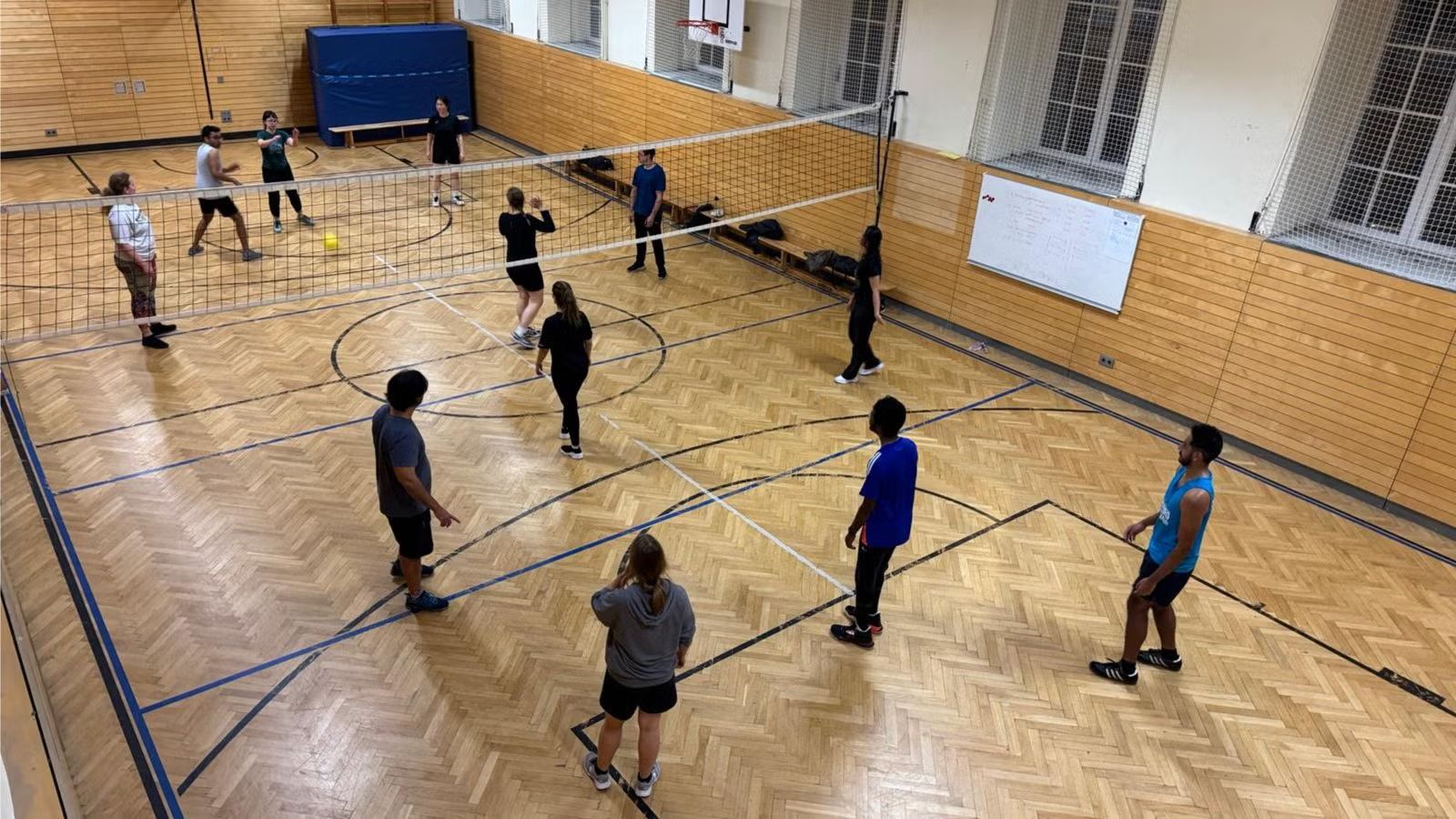Terrible Volleyball (indoor)