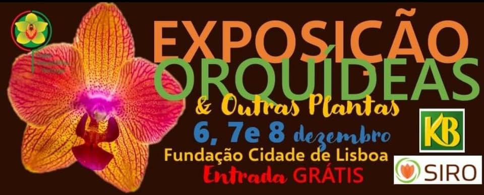Exposição de Orquídeas e Outras Plantas- Arte & Suculentas