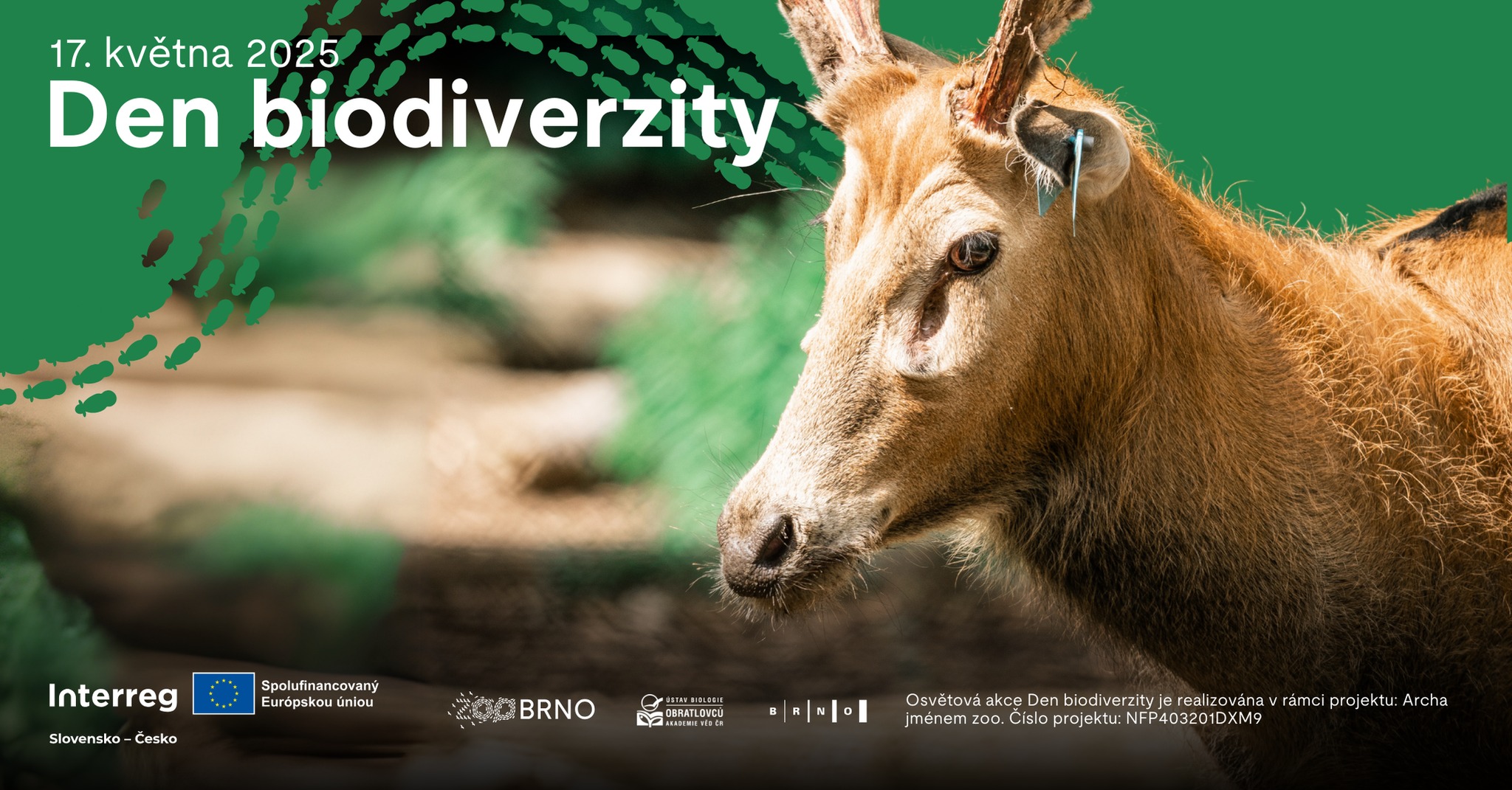 Den biodiverzity v Zoo Brno