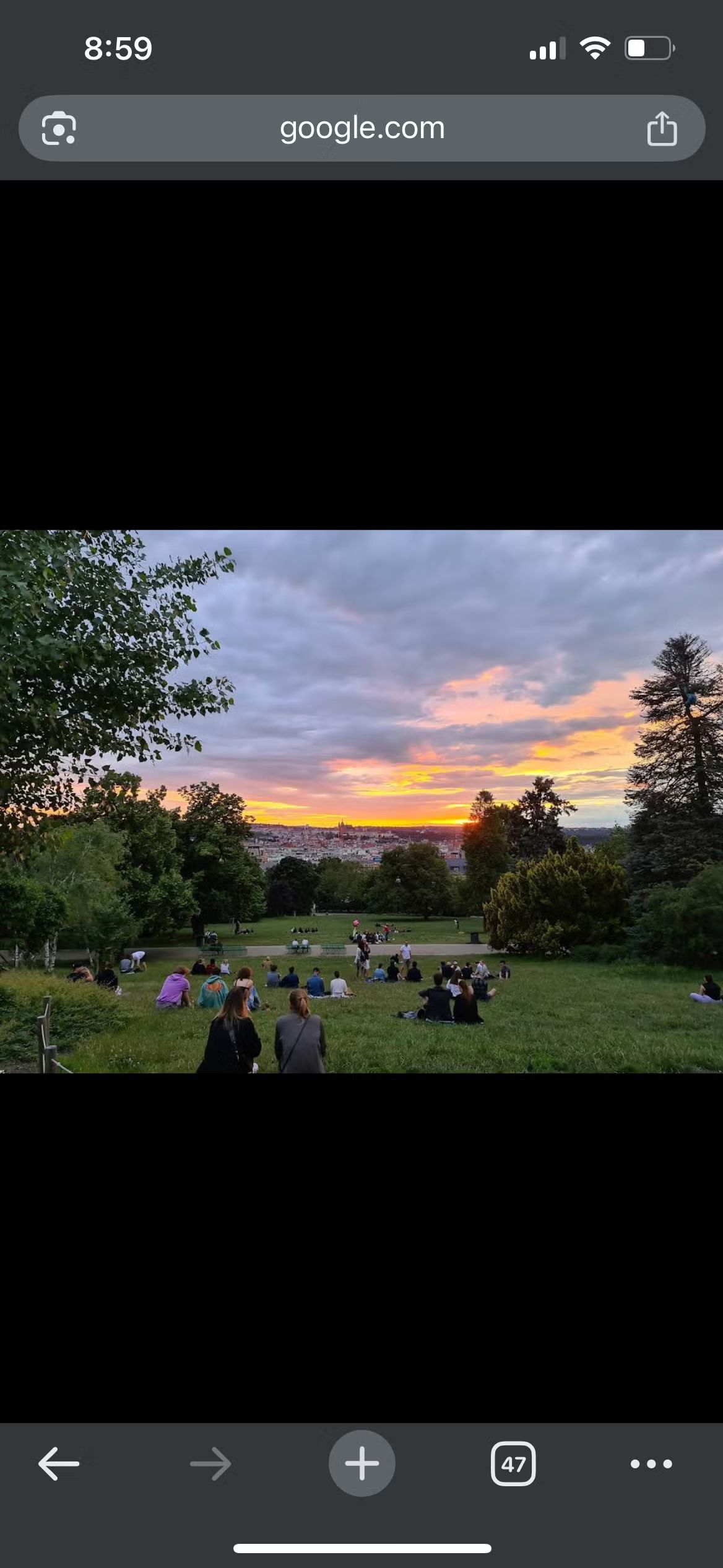 Picnic + Drinks in the Park (or Food + Drinks at Lokál Korunní if bad weather)