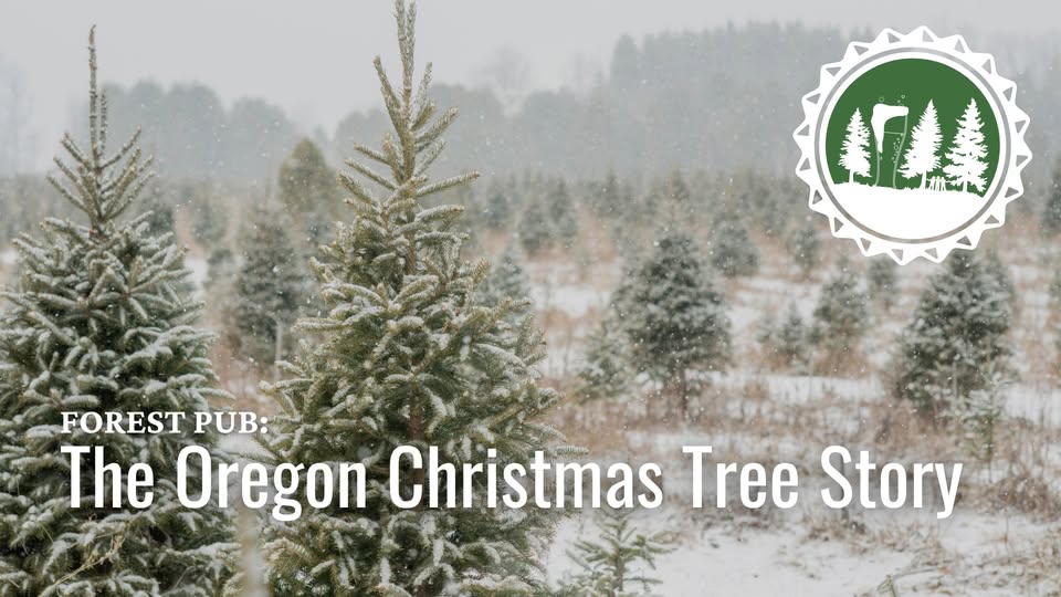 Forest Pub – The Oregon Christmas Tree Story