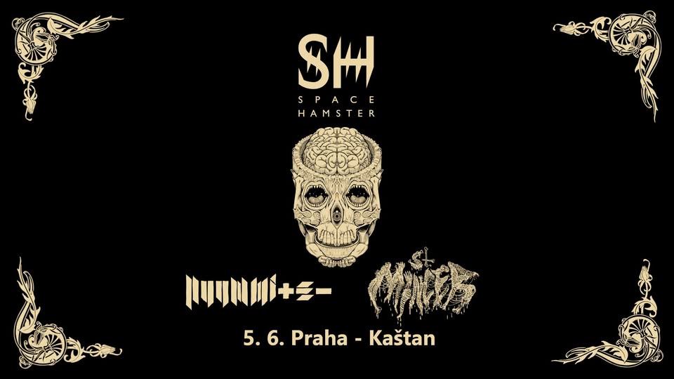 Space Hamster ✴ Nuummite ✴ St. Mincer