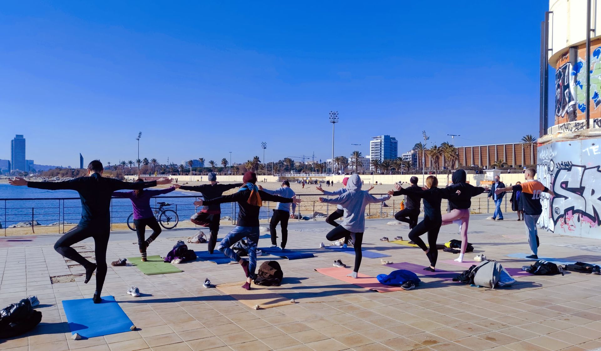 Vinyasa Yoga and Breathwork ( in the park )