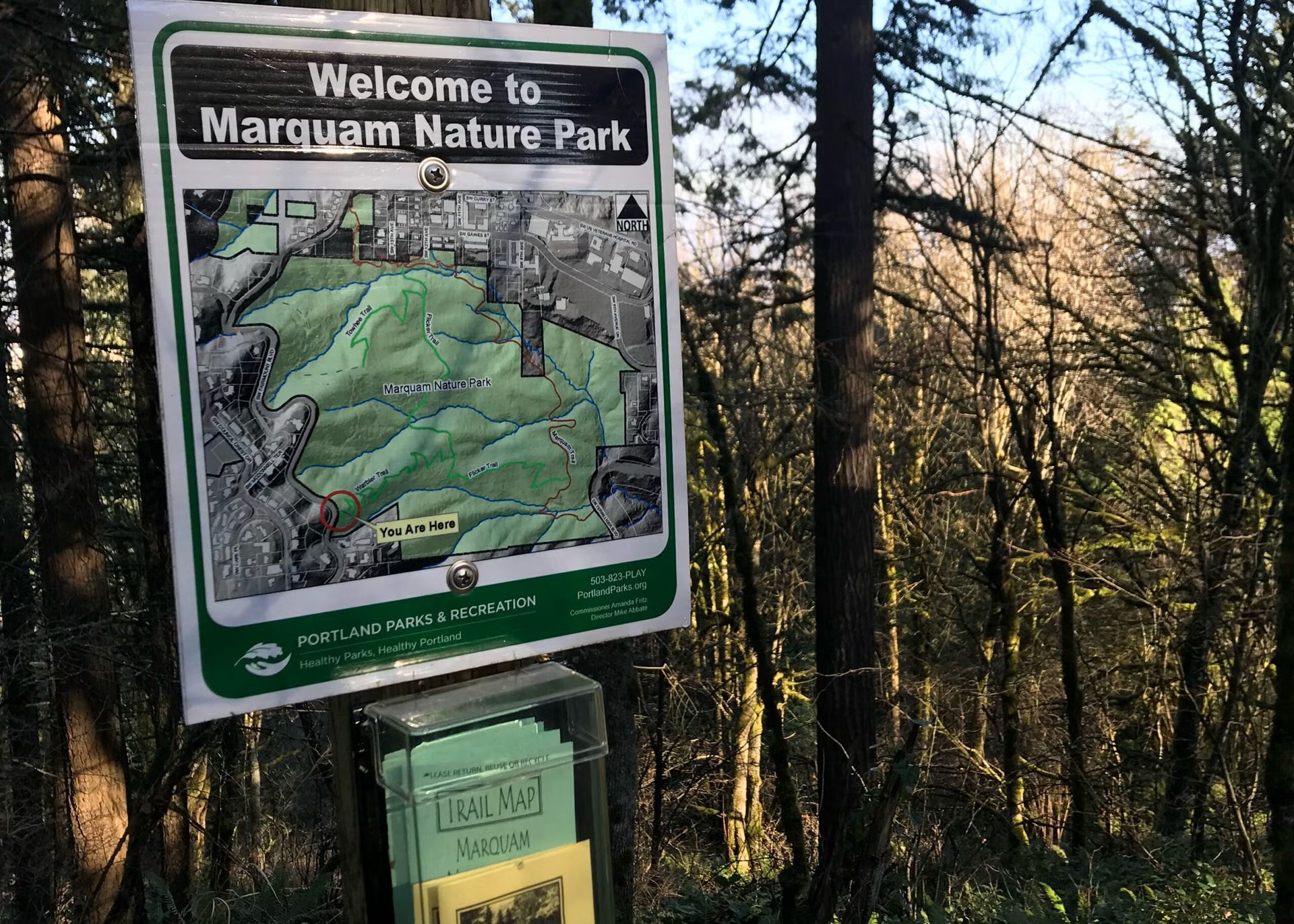 🌅 Evening Hike Series #2 – Marquam Trail Adventure