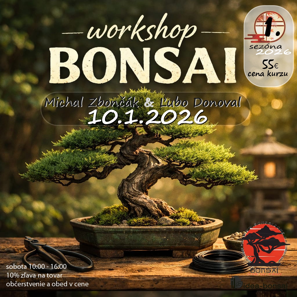 BONSAI Workshop 1.