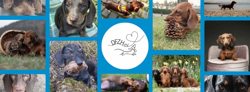 Dackelspaziergang beim Schloß Charlottenburg