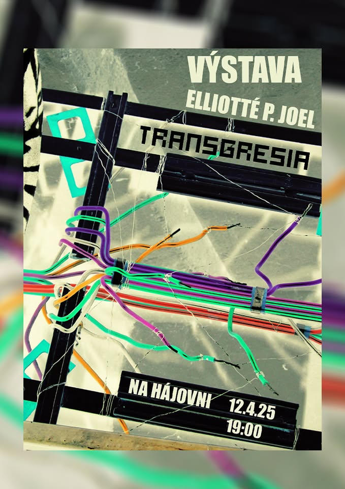 TRANSGRESIA - Výstava Elliotté P. Joel Na Hájovni /12.4.25/
