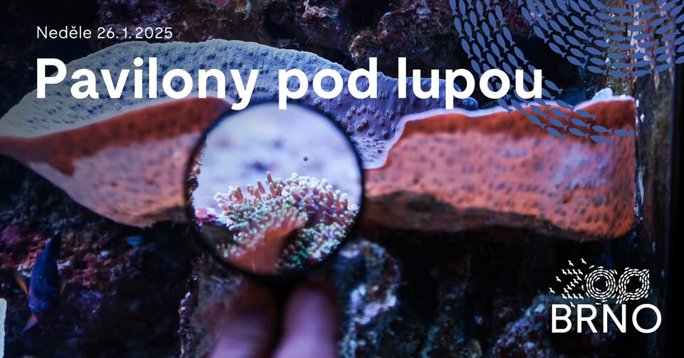 Pavilony pod lupou: komentované prohlídky pavilonů