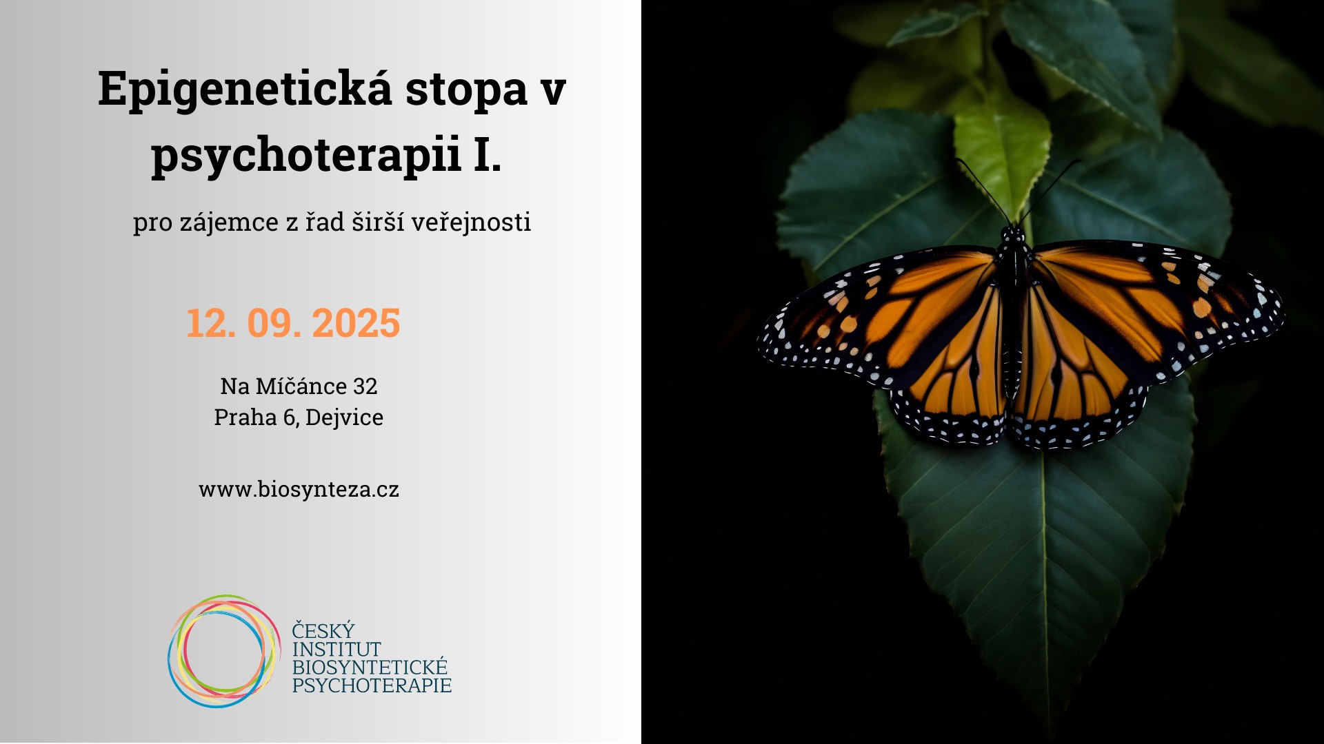 EPIGENETICKÁ STOPA V PSYCHOTERAPII I.