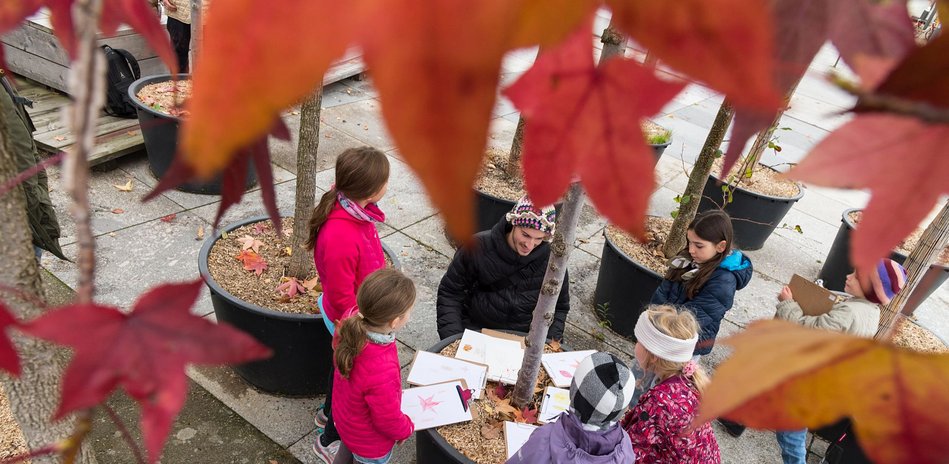 Workshop (mehrtägig): Endlich grün?! Baumschule am Kulturforum