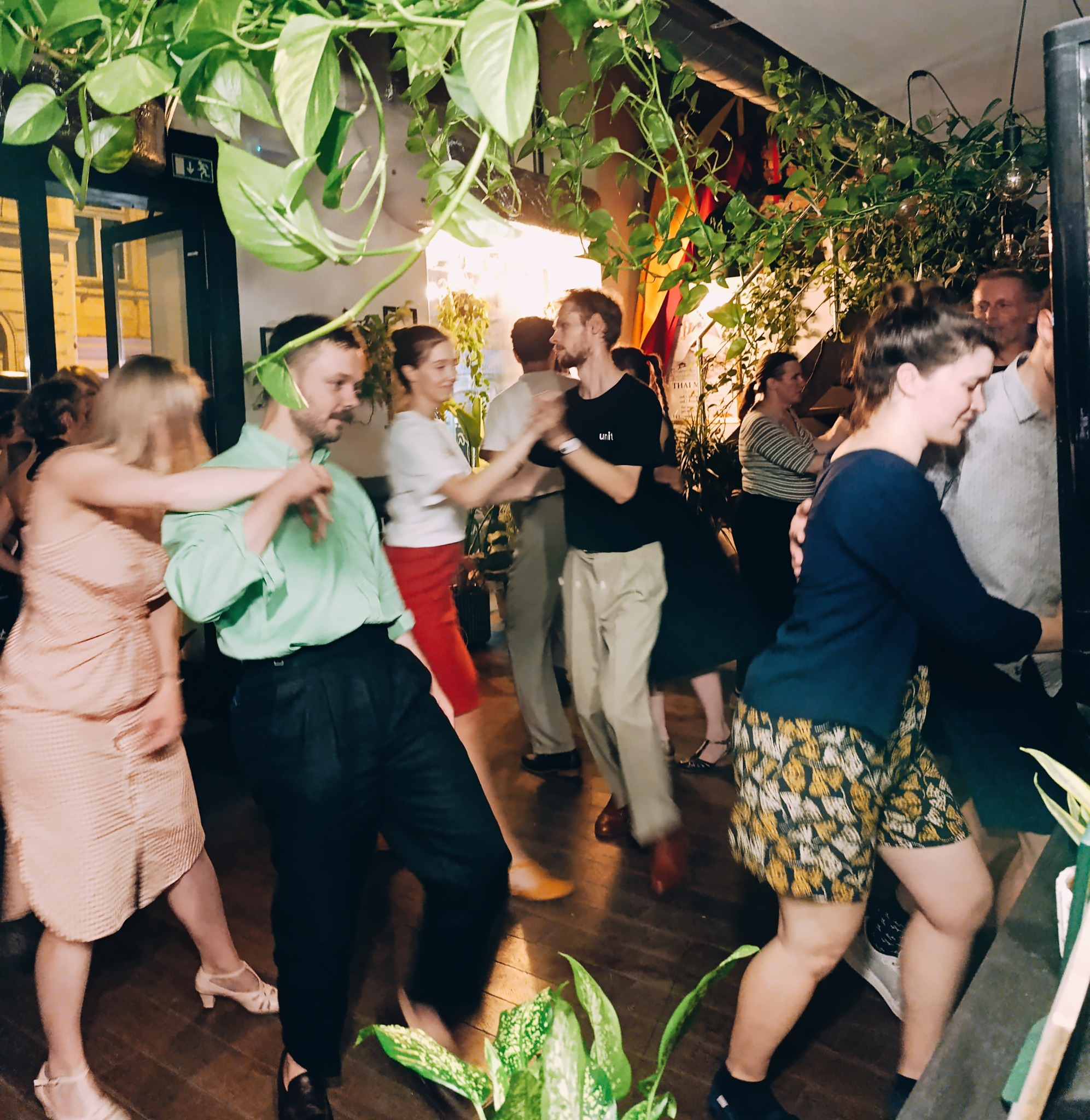 Jungle Jam