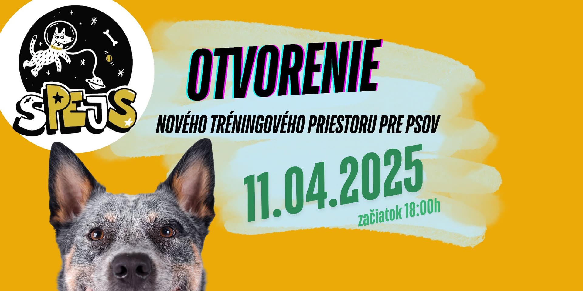 Otváračka sPEjSu- prednáška o force-free tréningoch