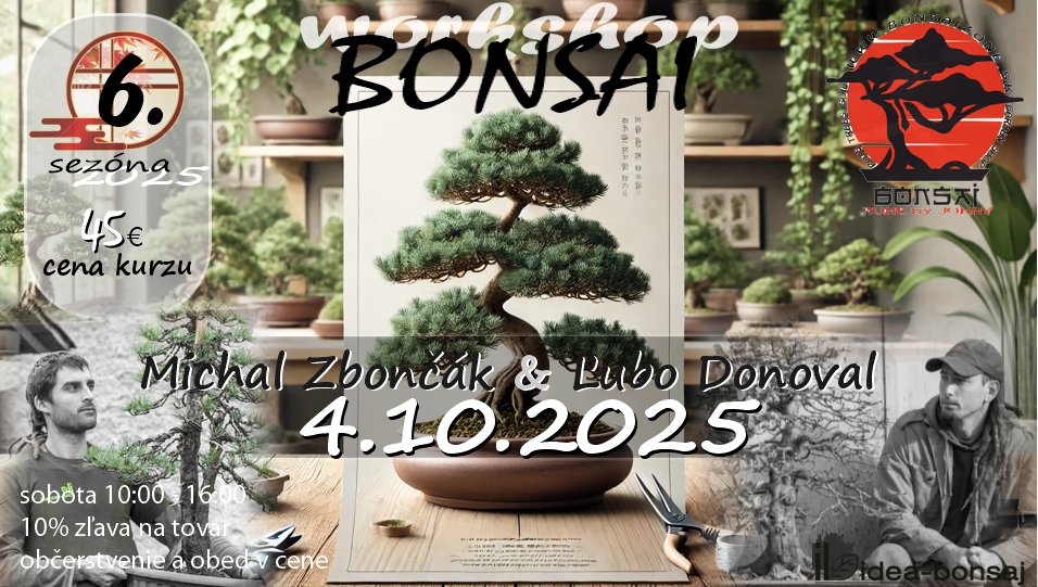 BONSAI Workshop 6.