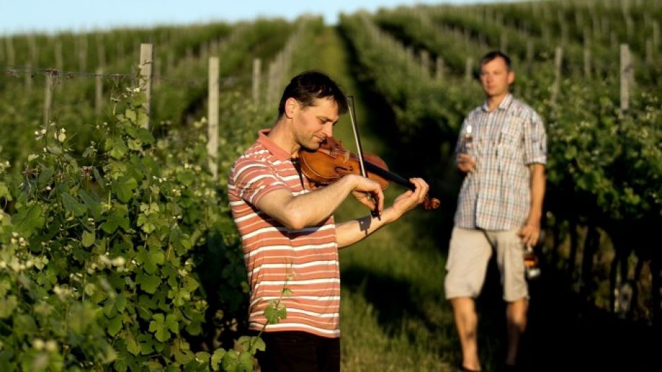 Vinná hudební degustace s Antonínem Bukovským 🍷