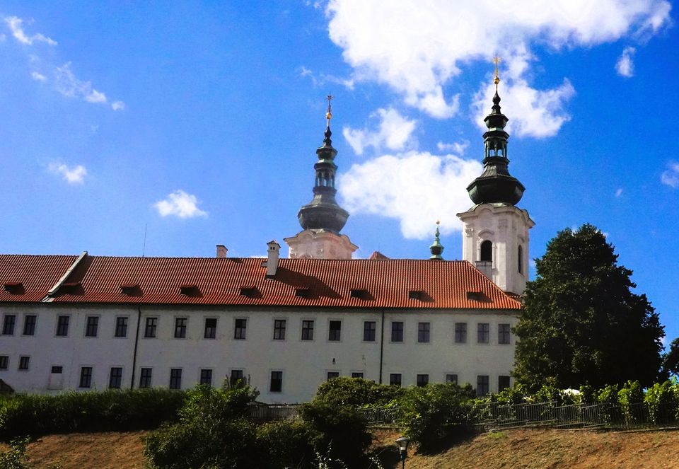 Vypich - Brusnice - vycházka pro seniory