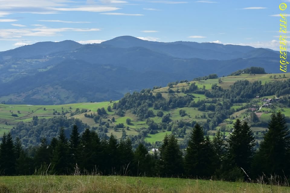 Beskid Sądecki - Hala Prehyba 1175m