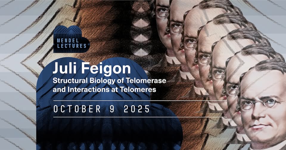 Juli Feigon - Structural Biology of Telomerase and Interactions at Telomeres