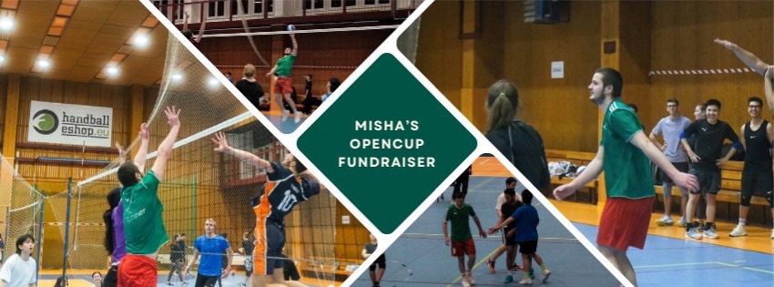 Mishas Cup