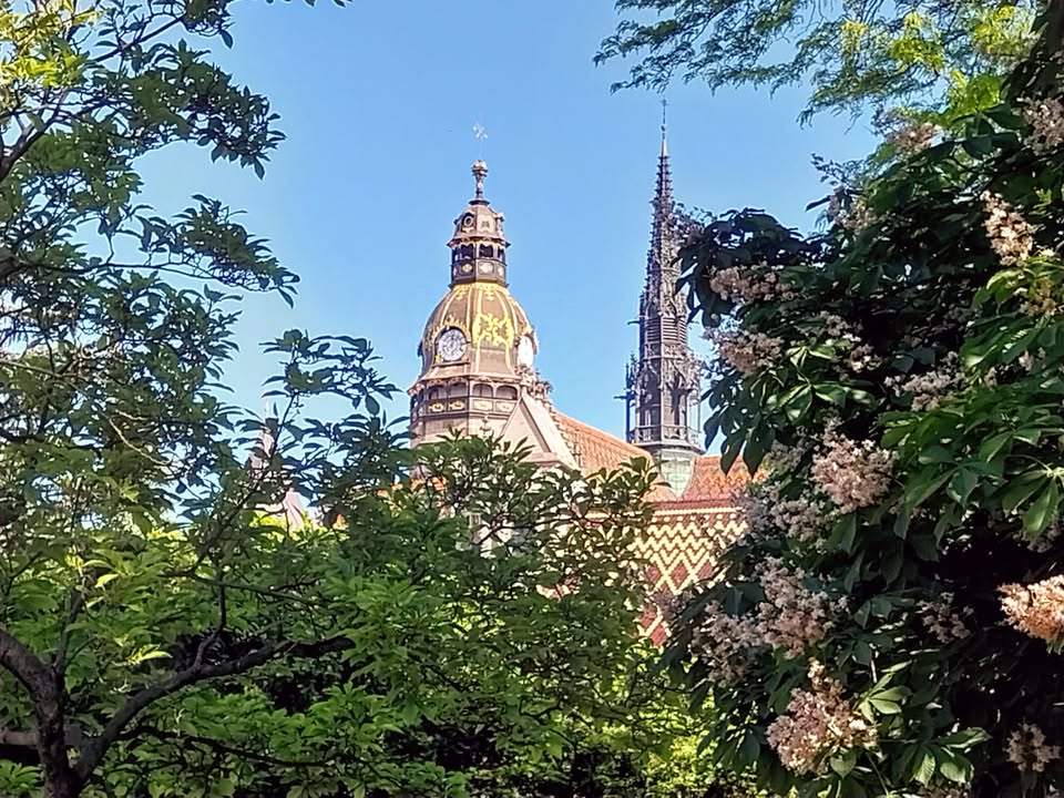 Košická dómska deviatka