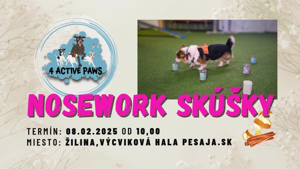 4AP FEBRUÁROVÉ NOSEWORK SKÚŠKY v Žiline