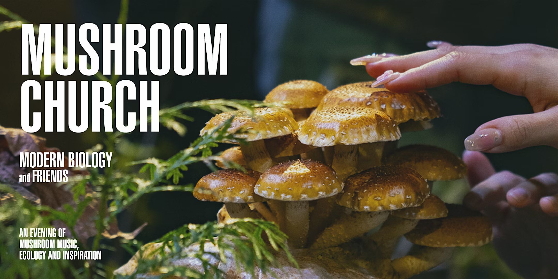 Mushroom Church - Amsterdam