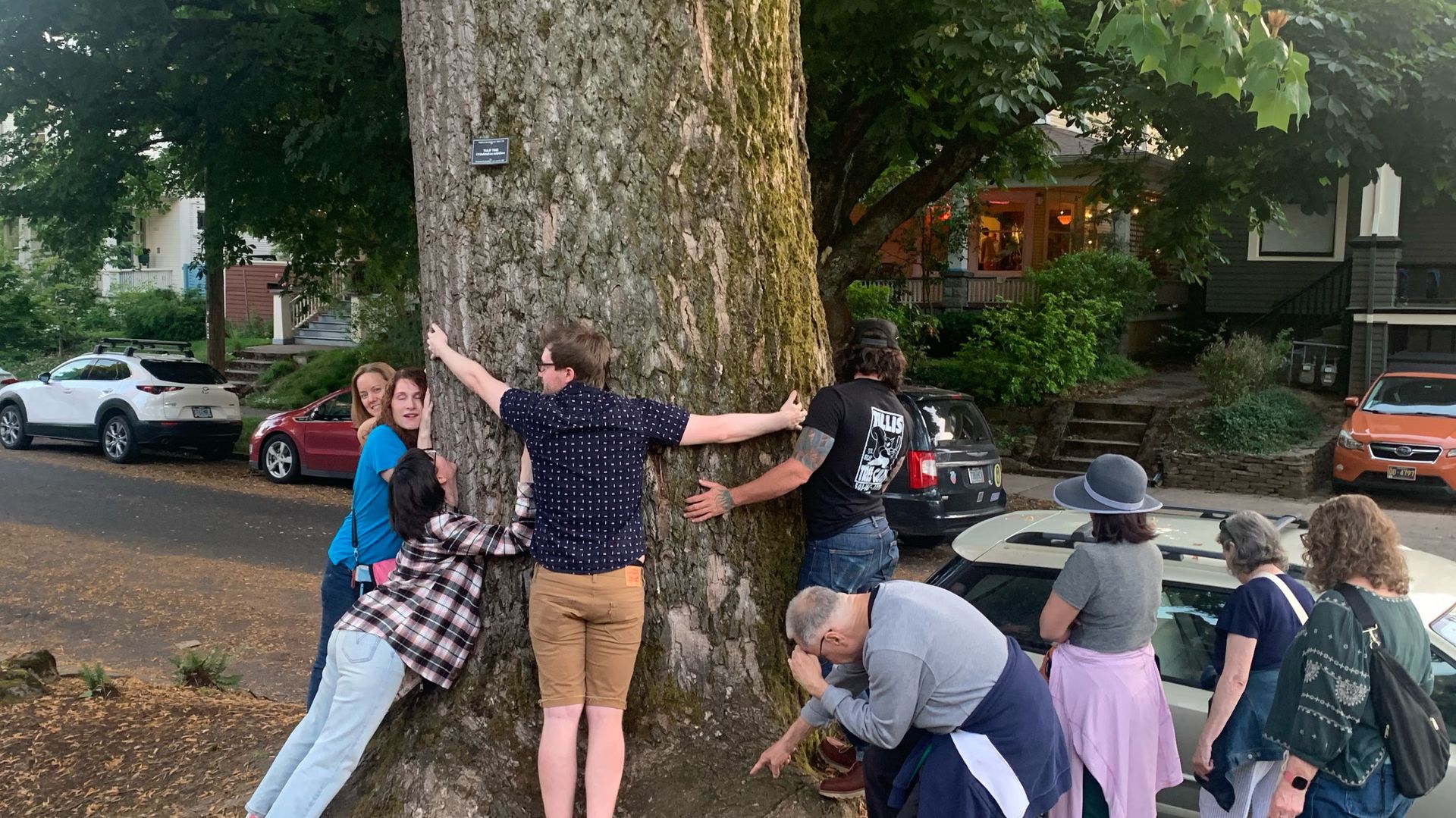 Tree to Pub crawl