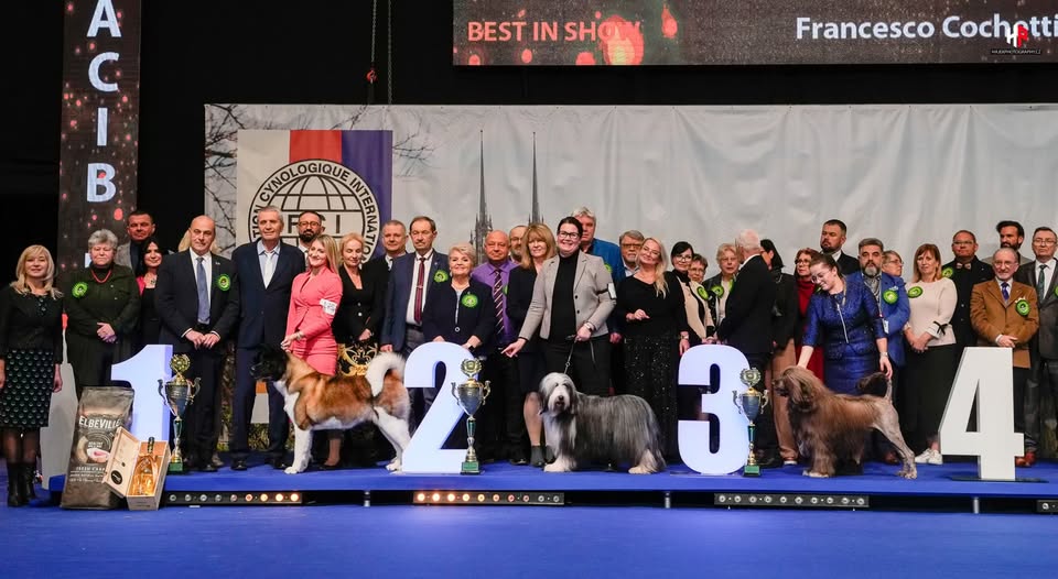 DUO CACIB Brno 2026