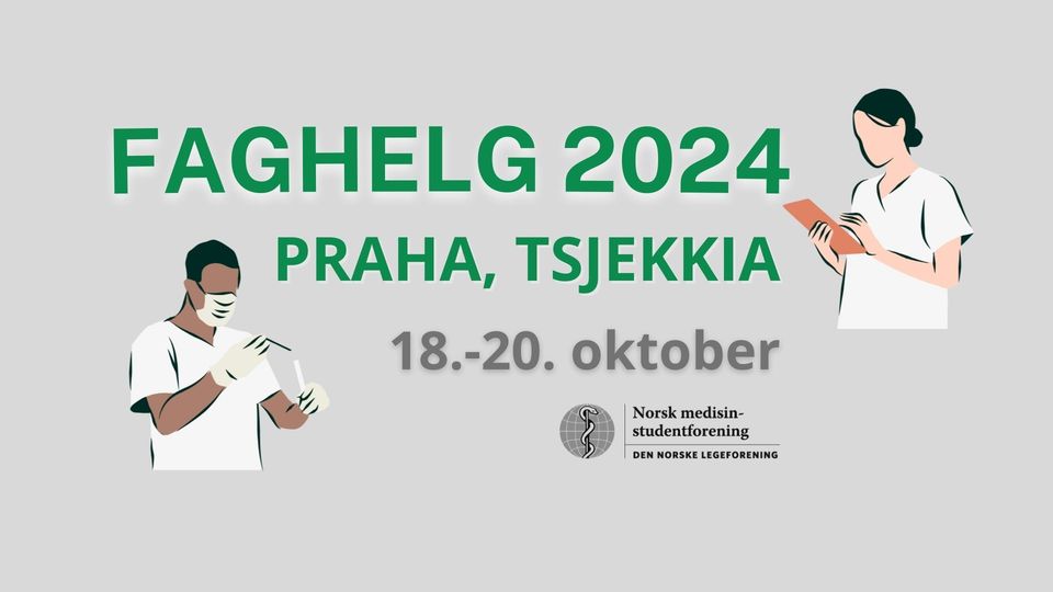 Nmf Faghelg 2024