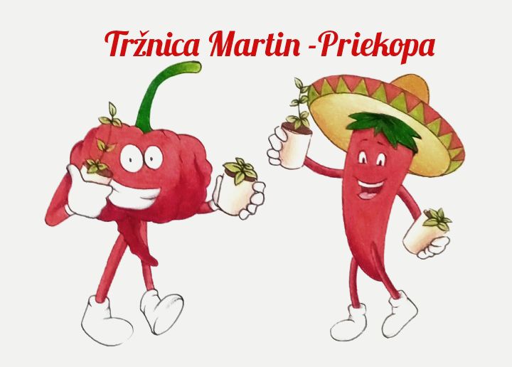 Burza chilli priesady 2026